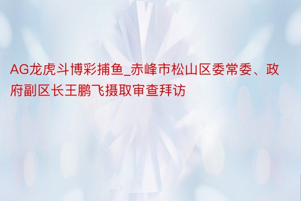 AG龙虎斗博彩捕鱼_赤峰市松山区委常委、政府副区长王鹏飞摄取审查拜访